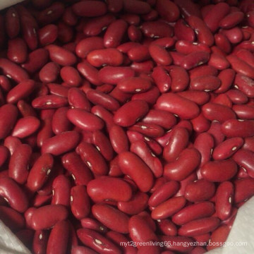 Top Qualty Red Kidney Bean (180-200)